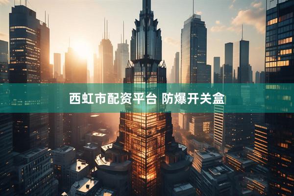 西虹市配资平台 防爆开关盒