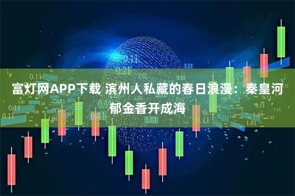 富灯网APP下载 滨州人私藏的春日浪漫：秦皇河郁金香开成海