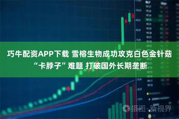 巧牛配资APP下载 雪榕生物成功攻克白色金针菇“卡脖子”难题 打破国外长期垄断