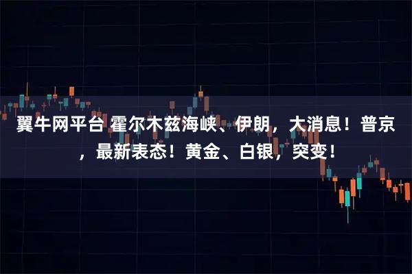 翼牛网平台 霍尔木兹海峡、伊朗，大消息！普京，最新表态！黄金、白银，突变！